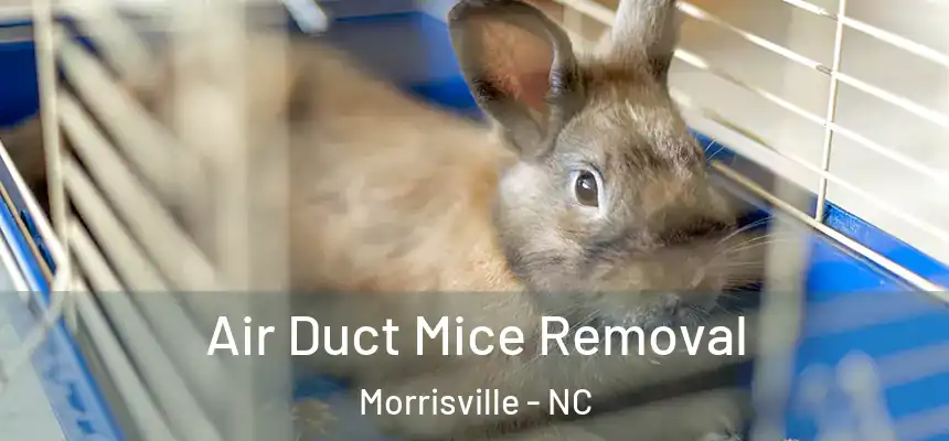  Air Duct Mice Removal Morrisville - NC