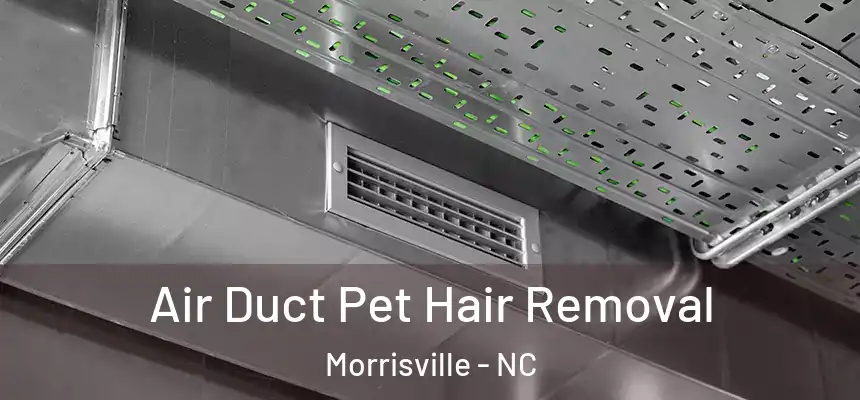  Air Duct Pet Hair Removal Morrisville - NC