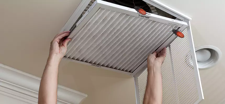 Preventive Cockroach-Proofing for Ducts in Morrisville