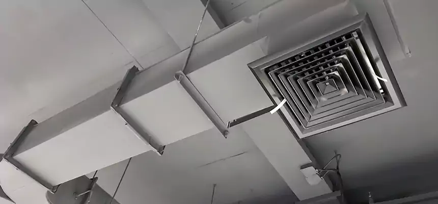 Restorative Allergy Relief Vent Cleaning – Coil, Blower & Housing Detail in Morrisville