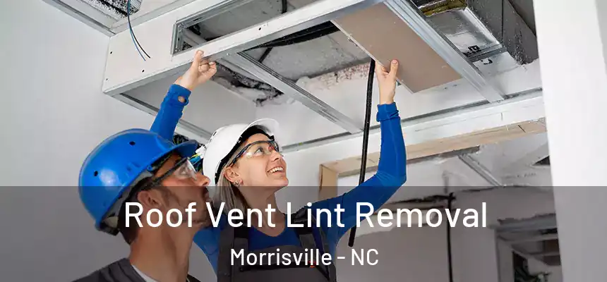  Roof Vent Lint Removal Morrisville - NC