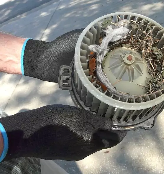 About Air Duct Rat Removal in Morrisville, NC