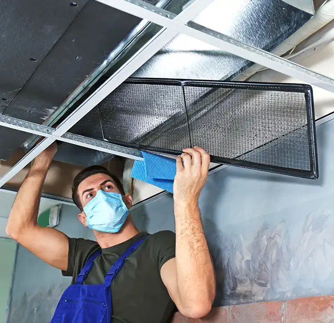 Why Homeowners & Businesses Trust Us in Morrisville, NC?