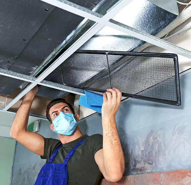  Why Homeowners Businesses Trust Us  in Morrisville, NC?